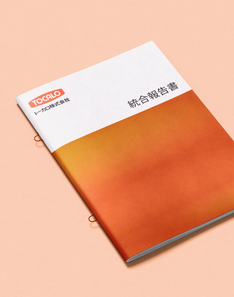 統合報告書 イメージ