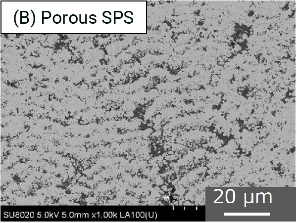 Scanning electron microscope images of thermal spray coating cross sections