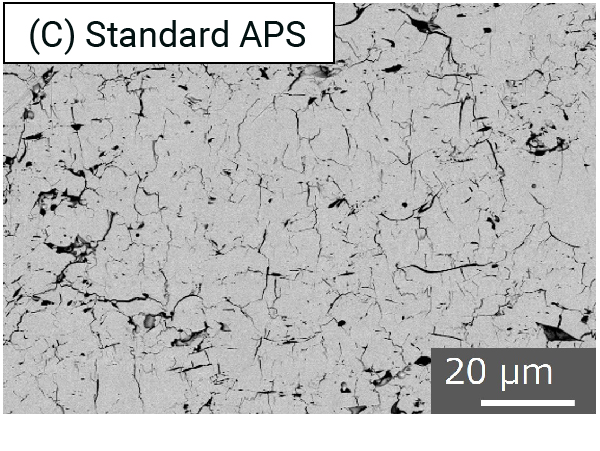 Scanning electron microscope images of thermal spray coating cross sections