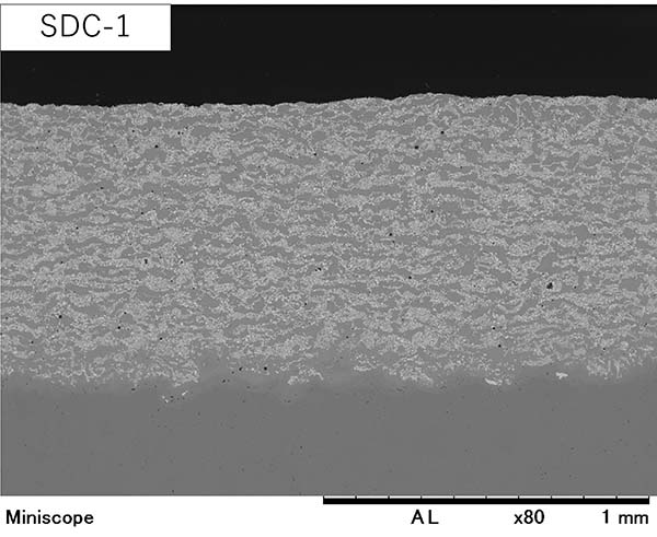 Cross sections of SDC coating layers