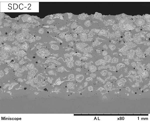 Cross sections of SDC coating layers