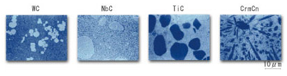 SEM structure of overlaid alloy with various carbide particles dispersing in it