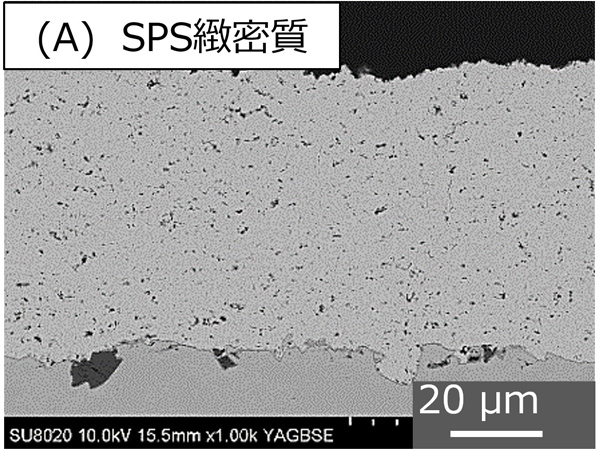 溶射皮膜断面SEM