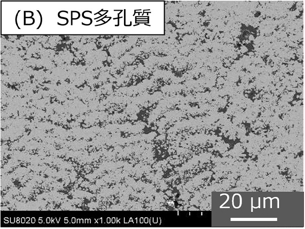 溶射皮膜断面SEM