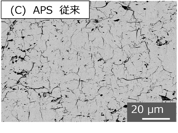 溶射皮膜断面SEM