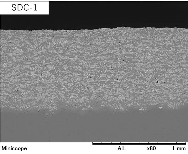 代表的SDC皮膜の断面組織
